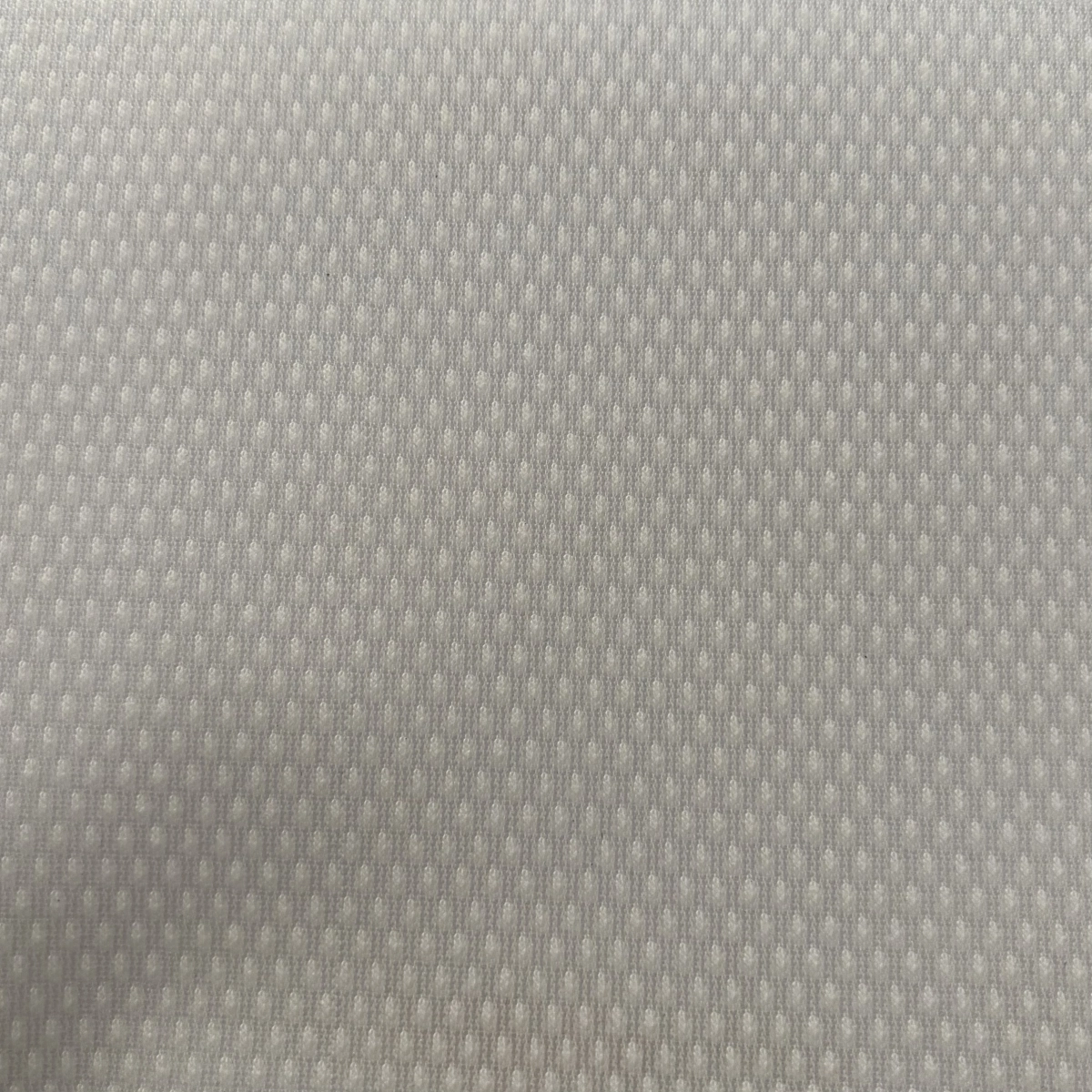 纱贾