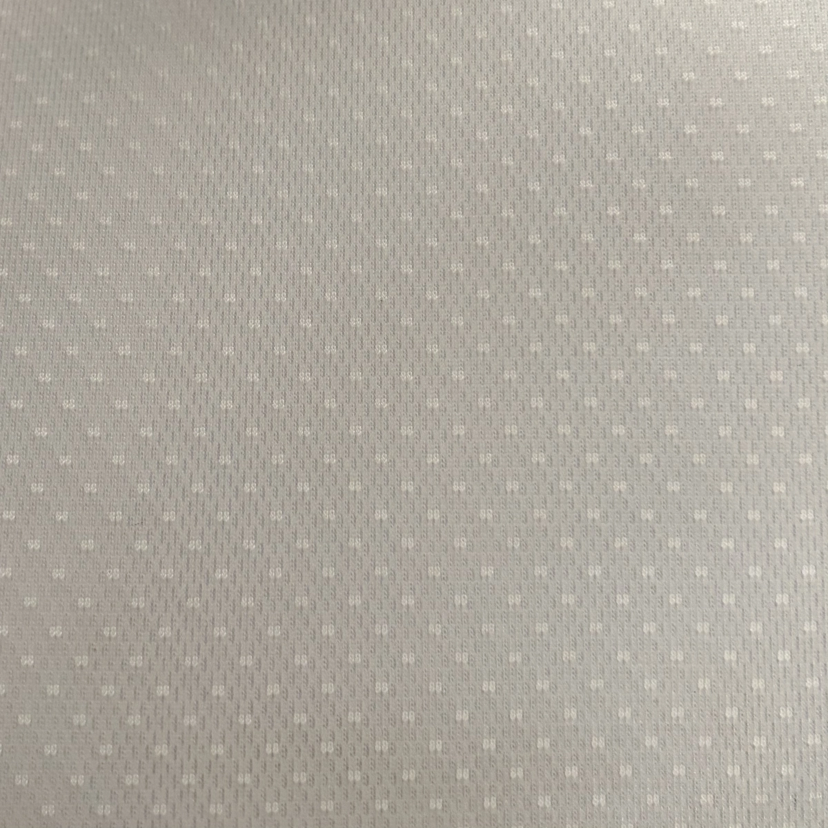 纱贾