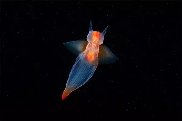 海底世界