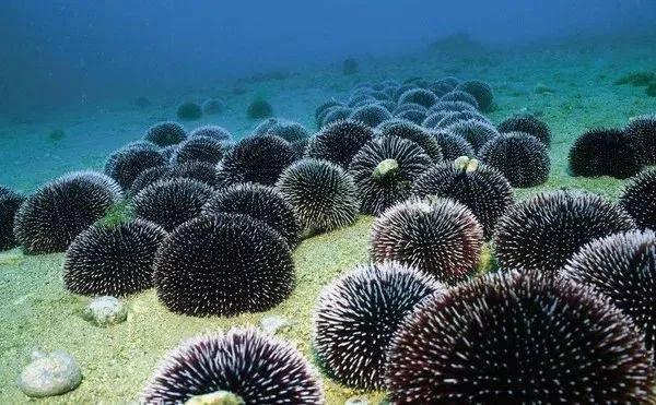 海底世界