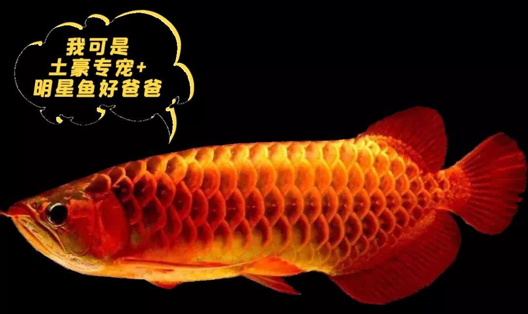 海底世界
