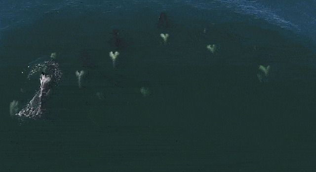 海底世界
