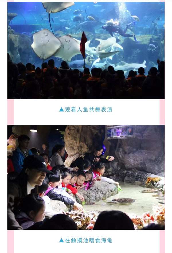 海底世界