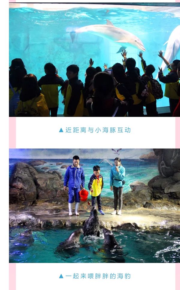 海底世界