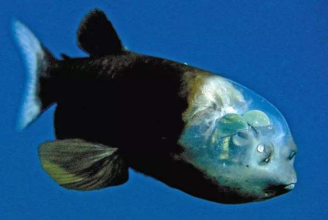 海底世界