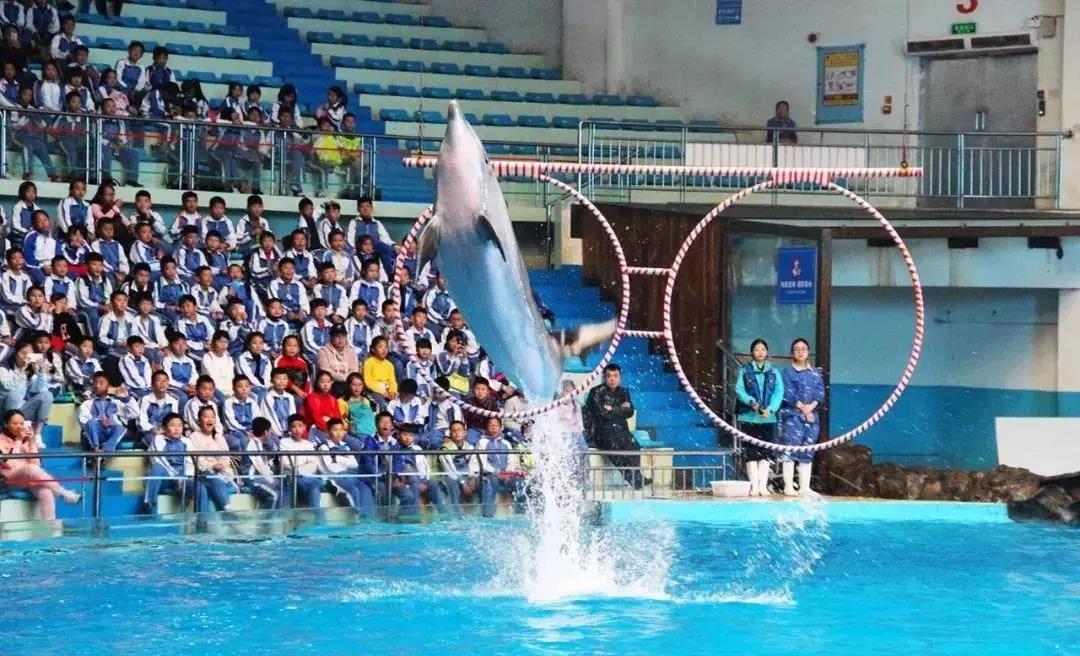 海底世界