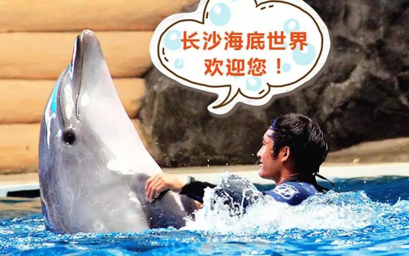 海底世界
