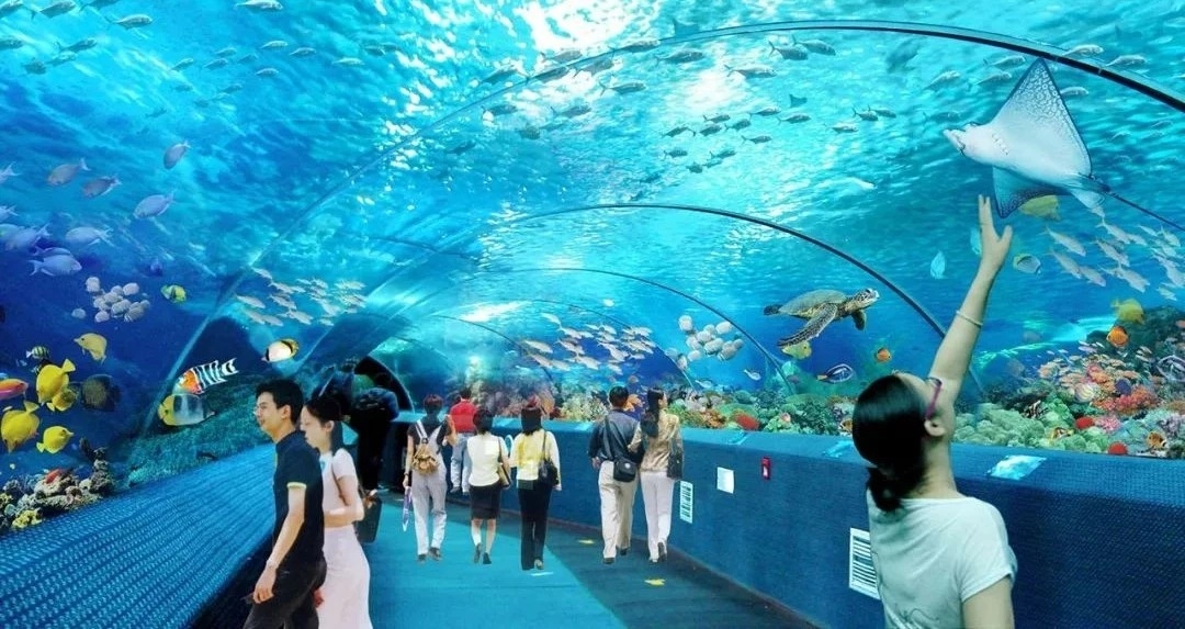 海底世界