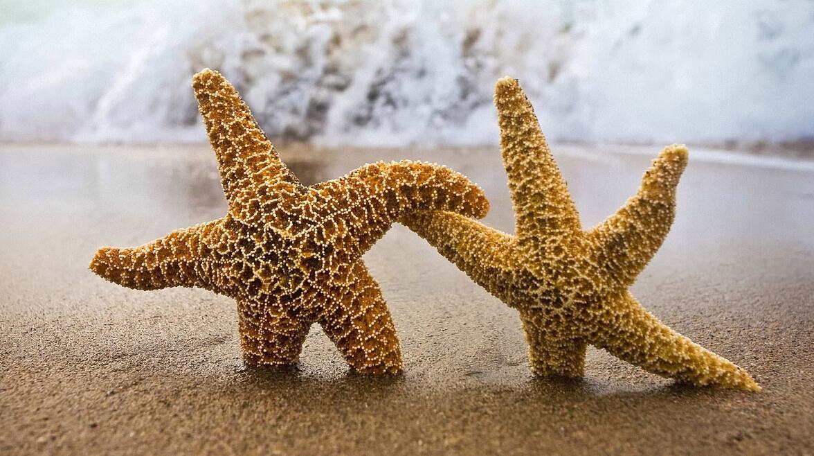 海底世界