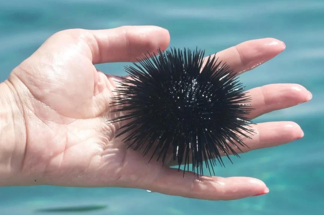 海底世界