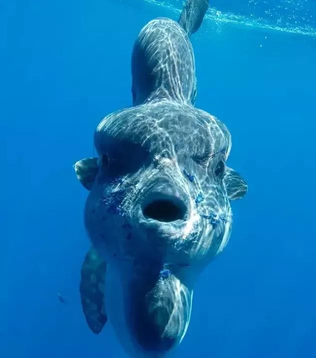 海底世界