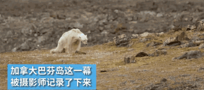 海底世界