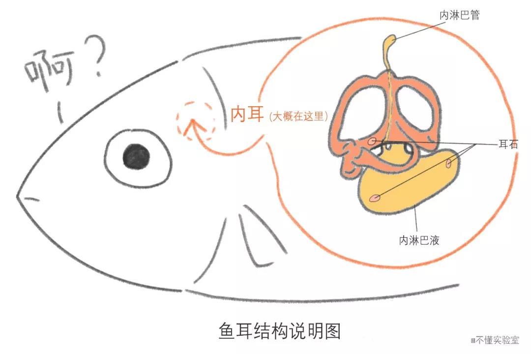 海底世界