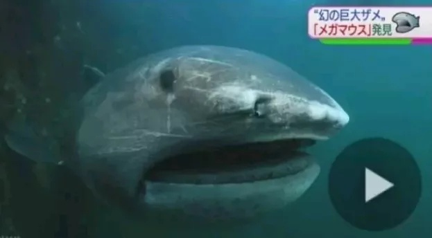 海底世界