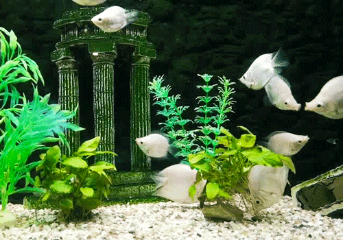 海底世界