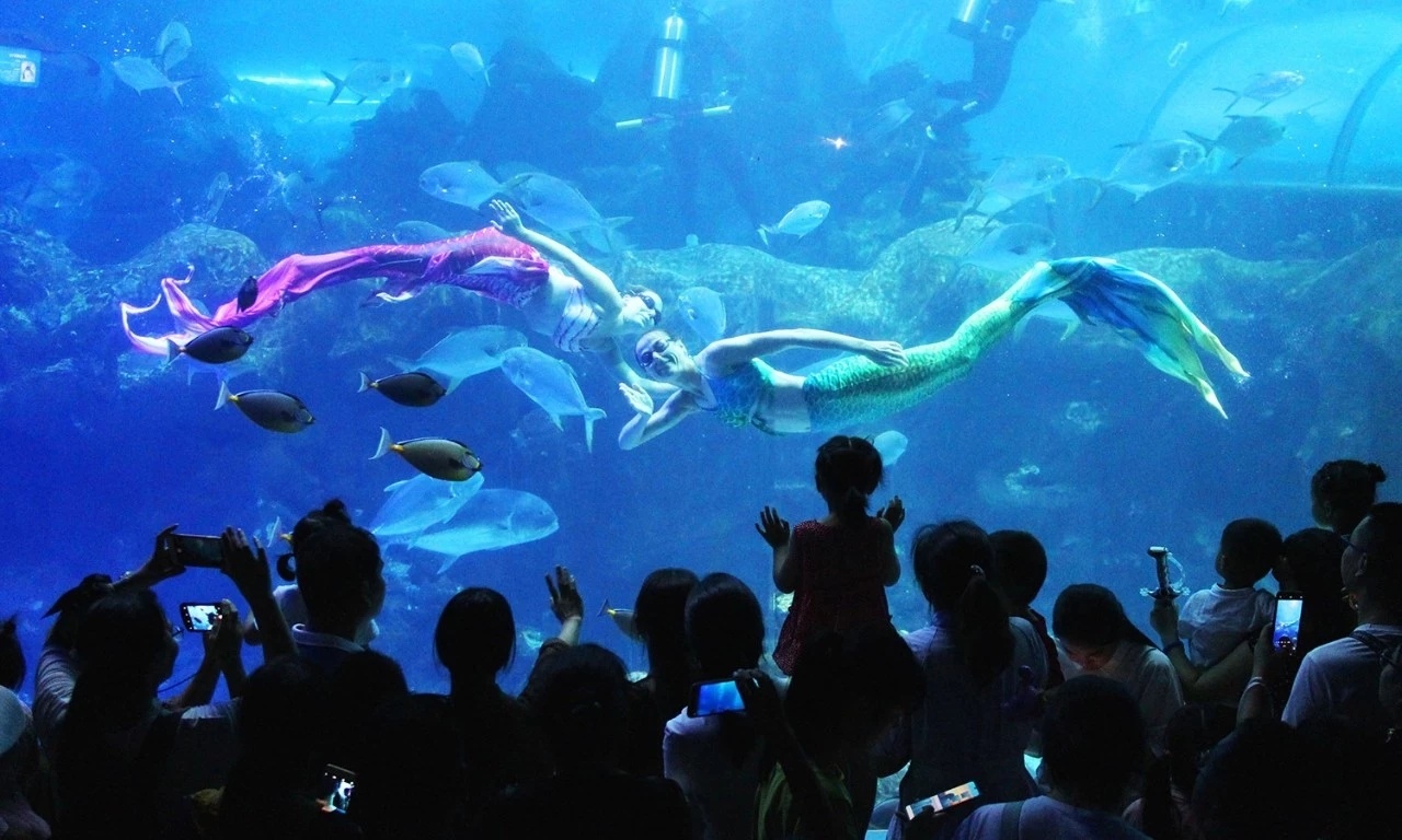 海底世界