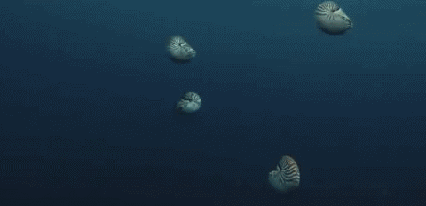 海底世界