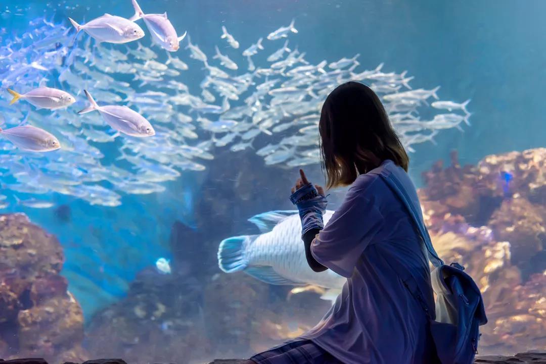 海底世界