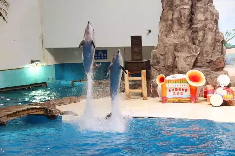 海底世界