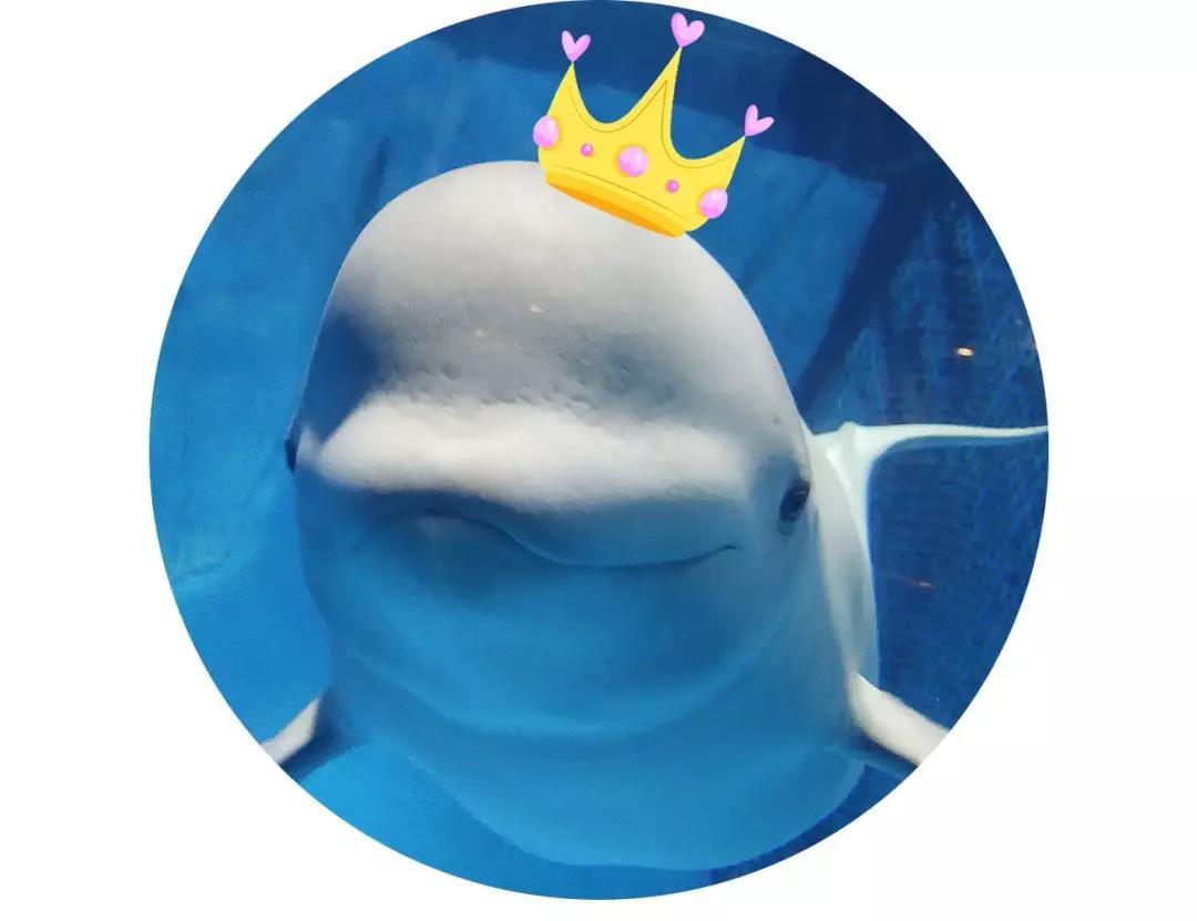 海底世界