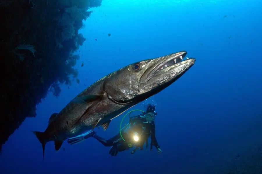 海底世界