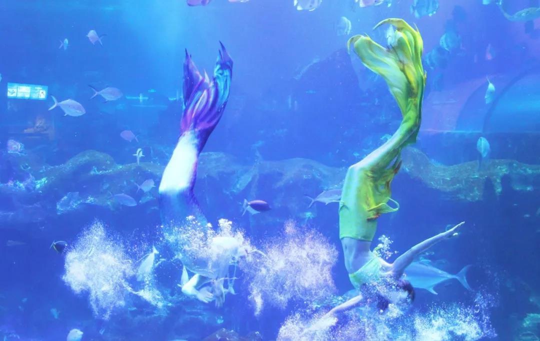 海底世界