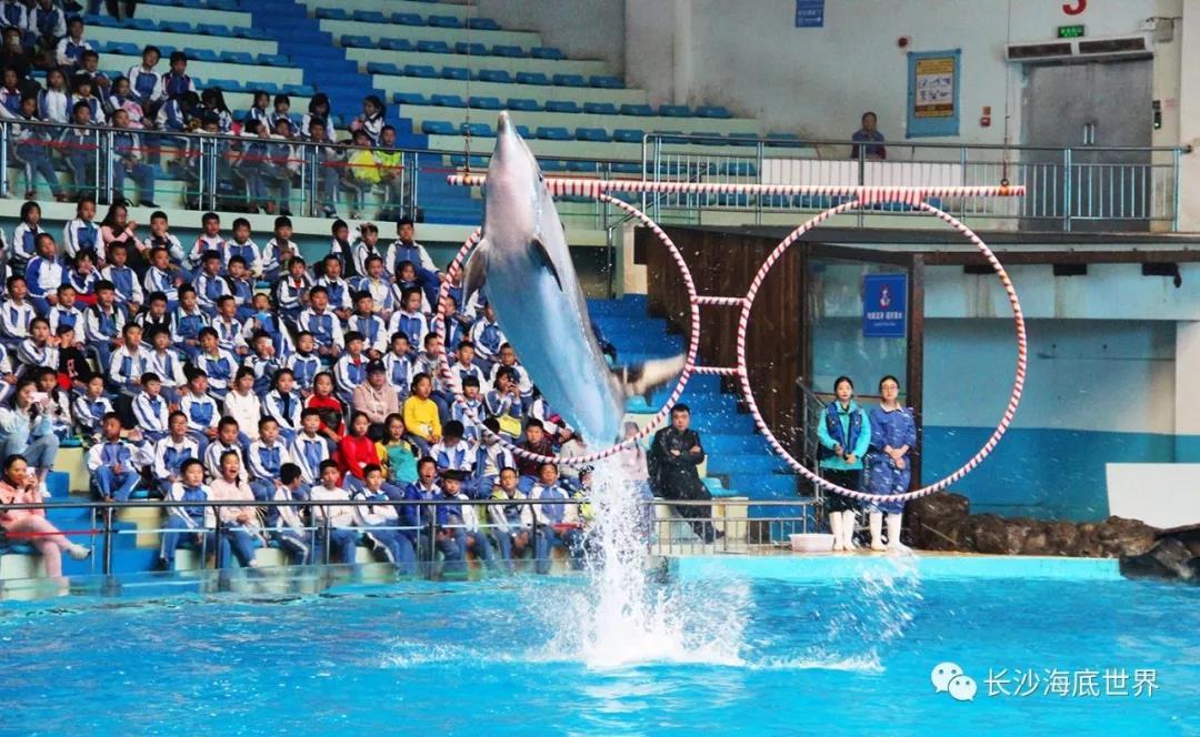 海底世界
