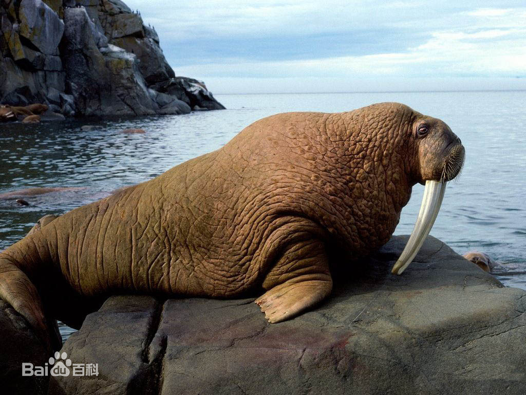 海底世界
