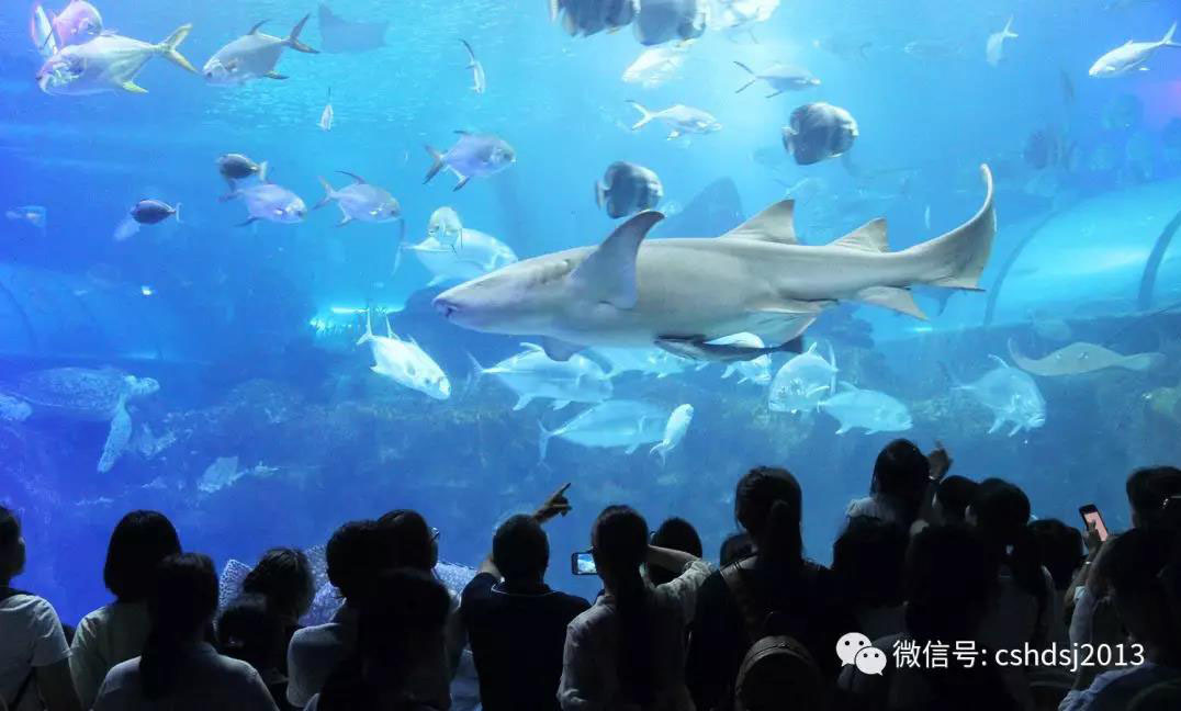 海底世界