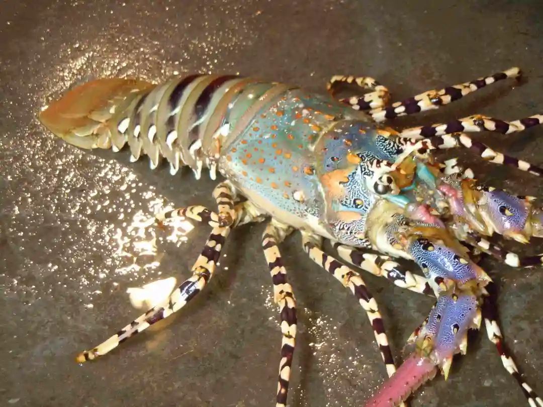 海底世界