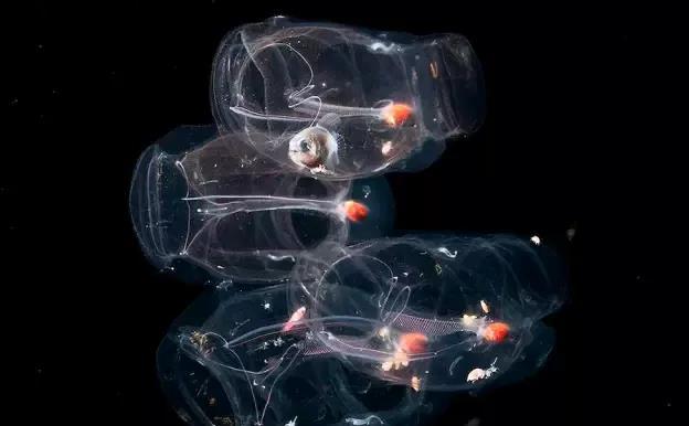 海底世界