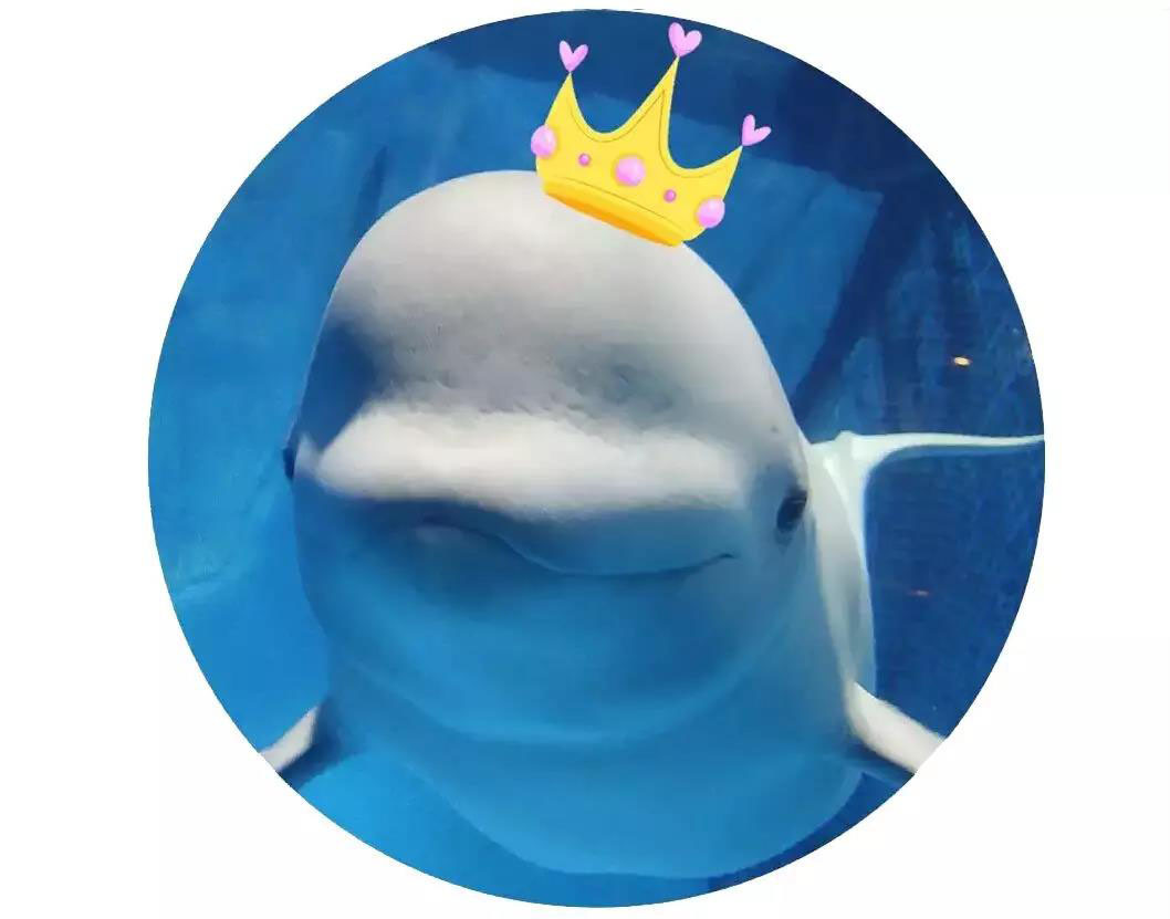 海底世界