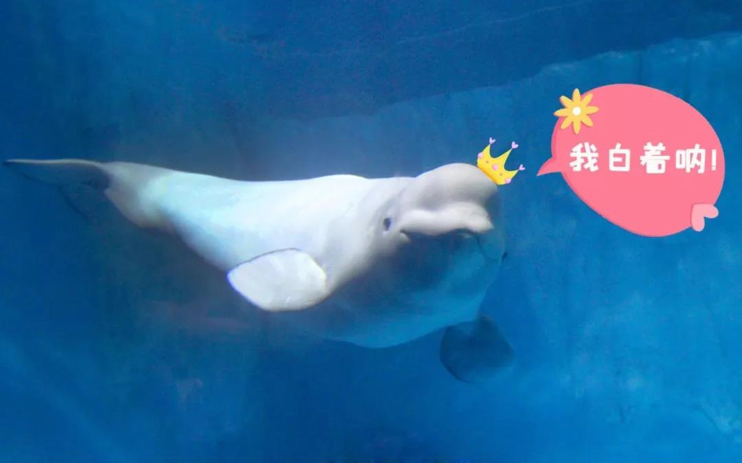 海底世界