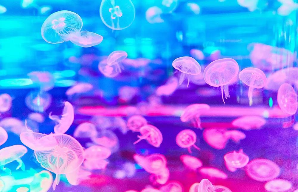 海底世界
