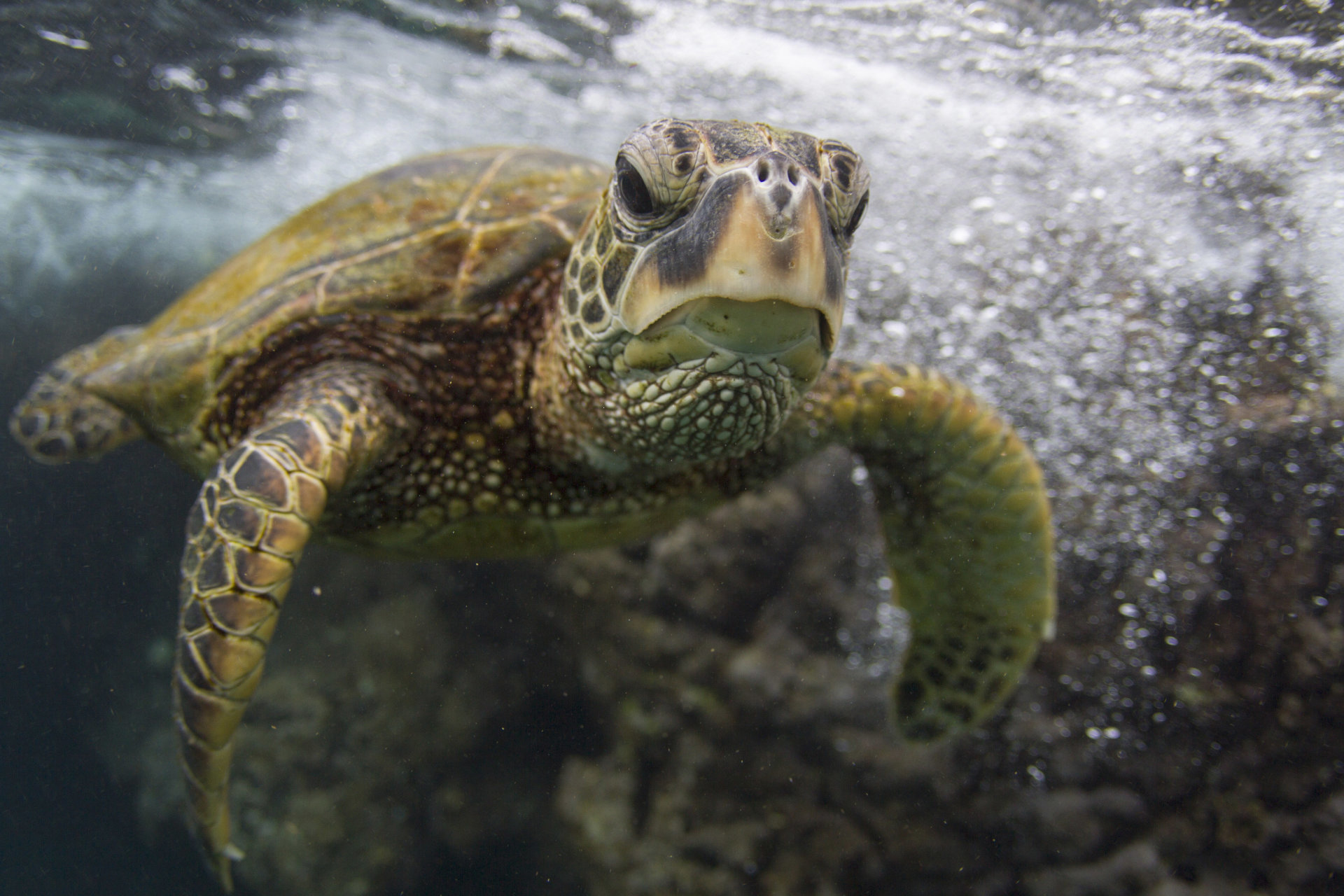 海底世界