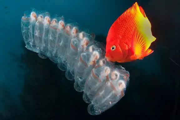 海底世界