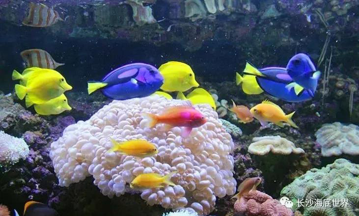 海底世界