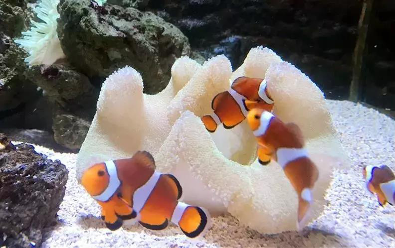 海底世界