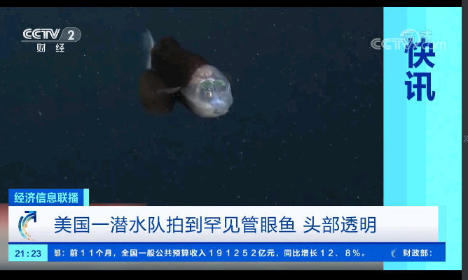 海底世界