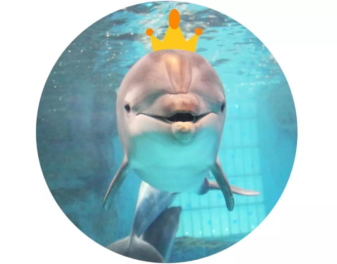 海底世界