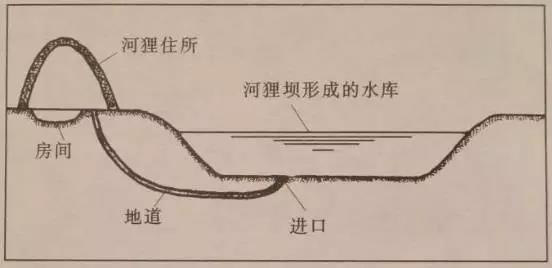 海底世界