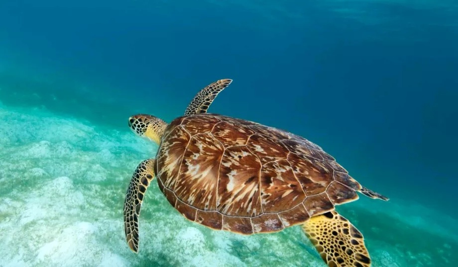 海底世界