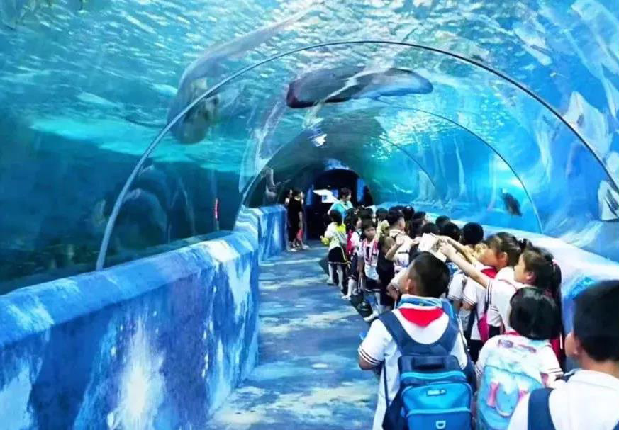 海底世界