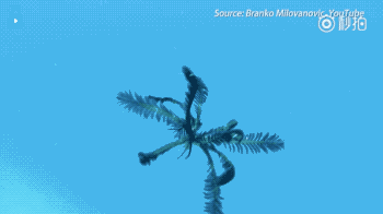 海底世界