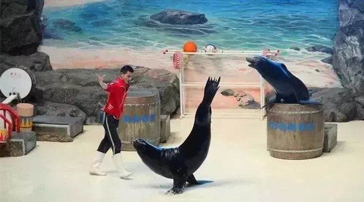 海底世界