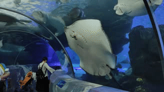 海底世界