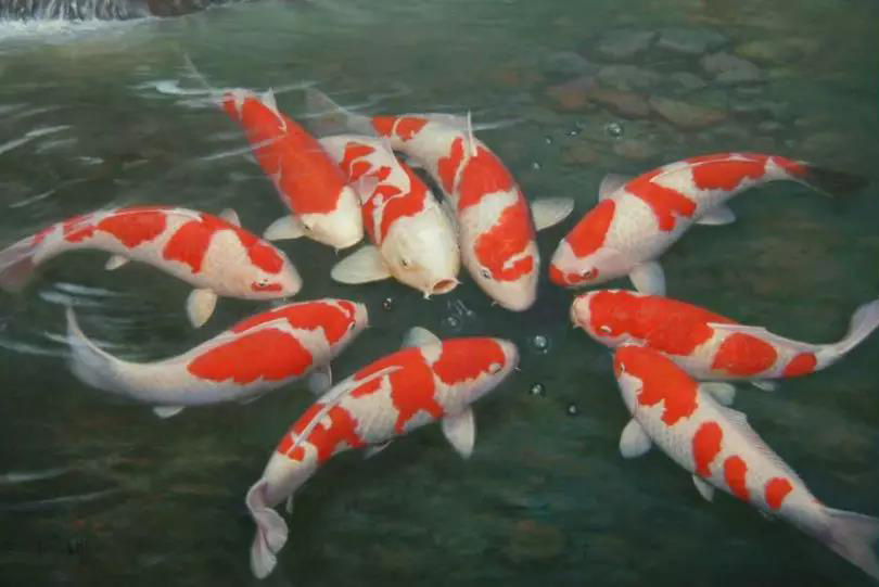 海底世界