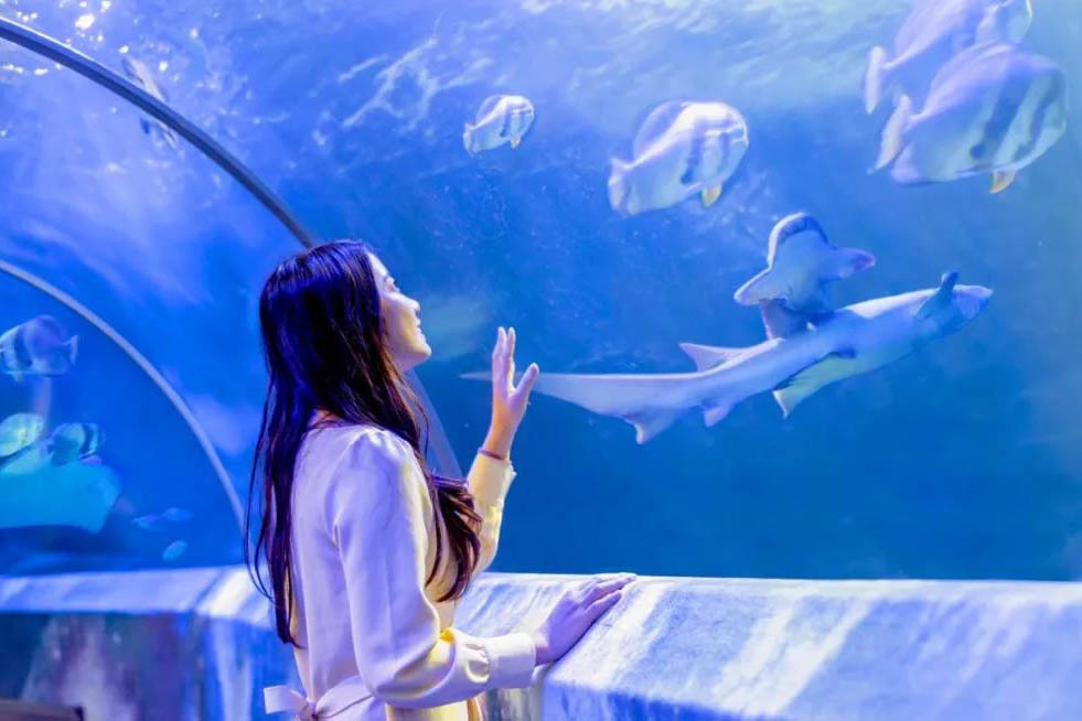 海底世界