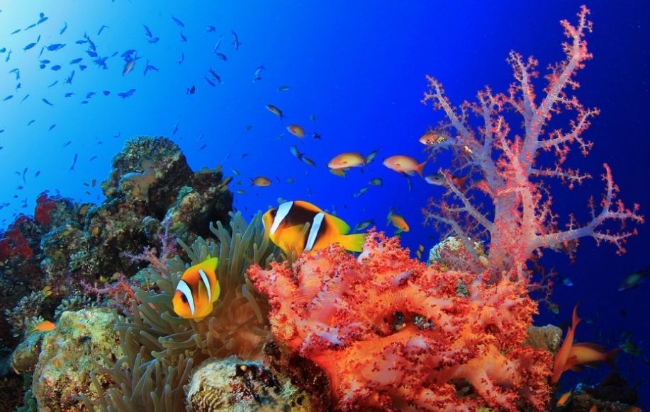 海底世界