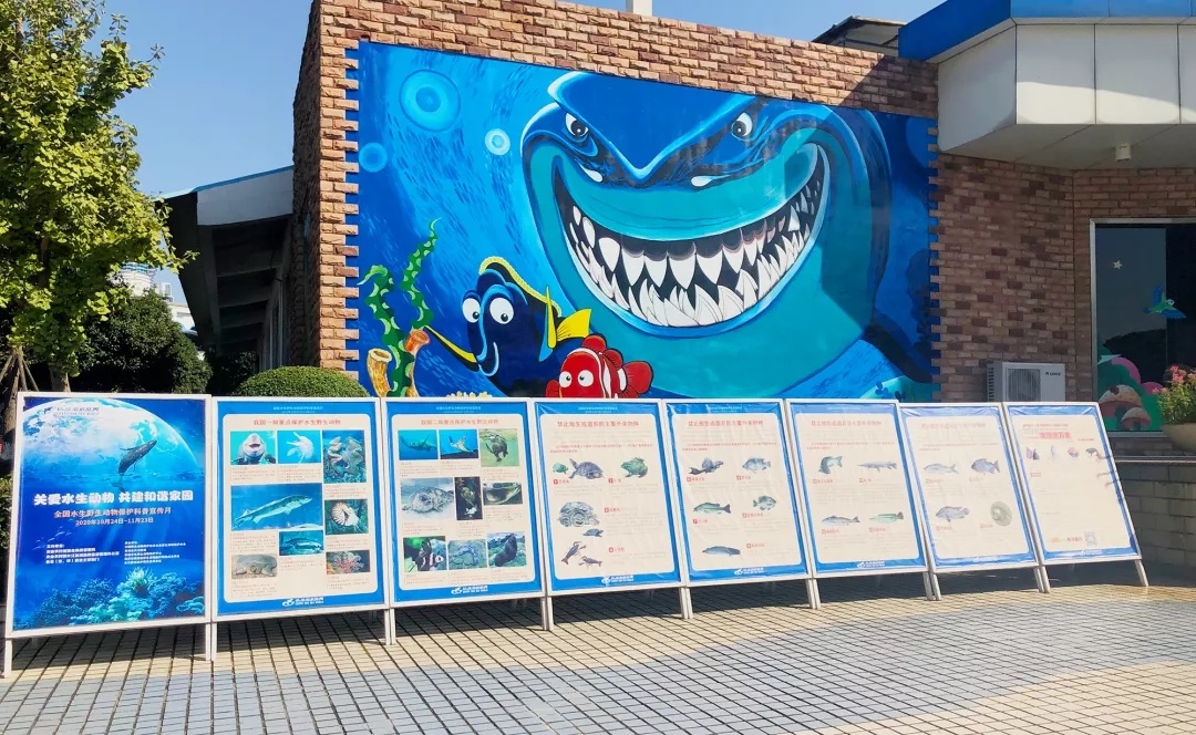 海底世界